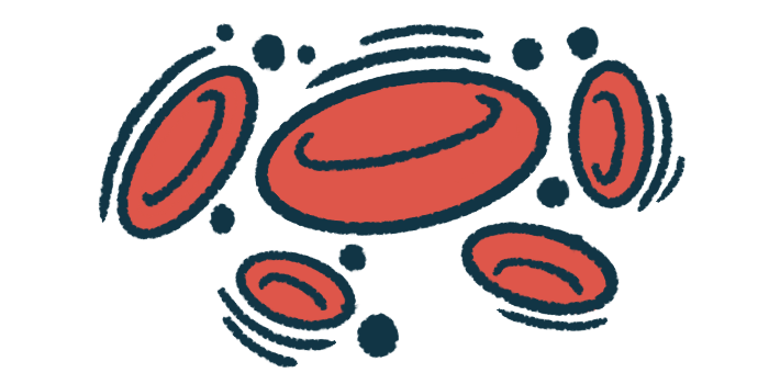 An illustration provides a close-up view of red blood cells.